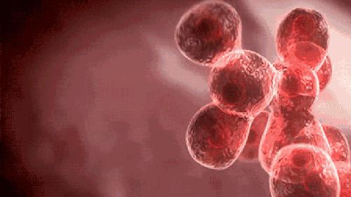 快来看看，和你息息相关的防癌知识！