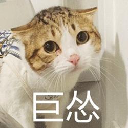 上海十大姓氏排名,上海望族姓氏大全