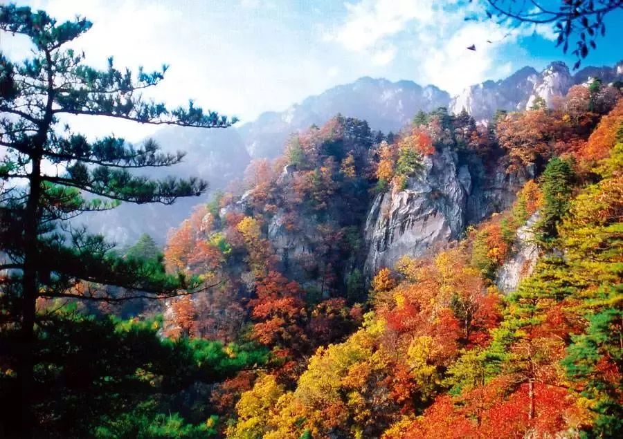 河南看红叶最好的地方,河南红叶最佳观赏时间表