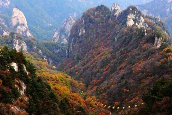 河南看红叶最好的地方,河南红叶最佳观赏时间表