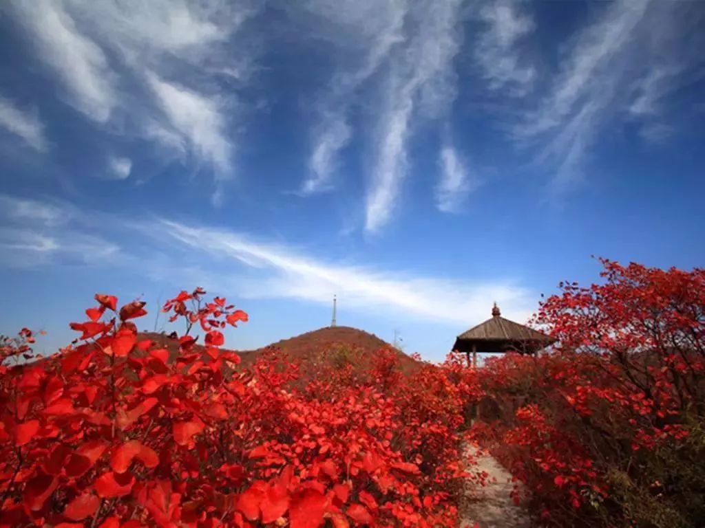河南看红叶最好的地方,河南红叶最佳观赏时间表