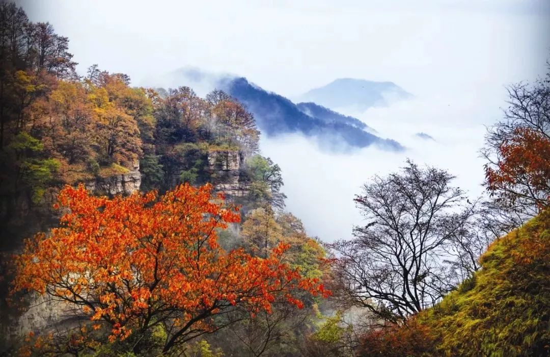 河南看红叶最好的地方,河南红叶最佳观赏时间表