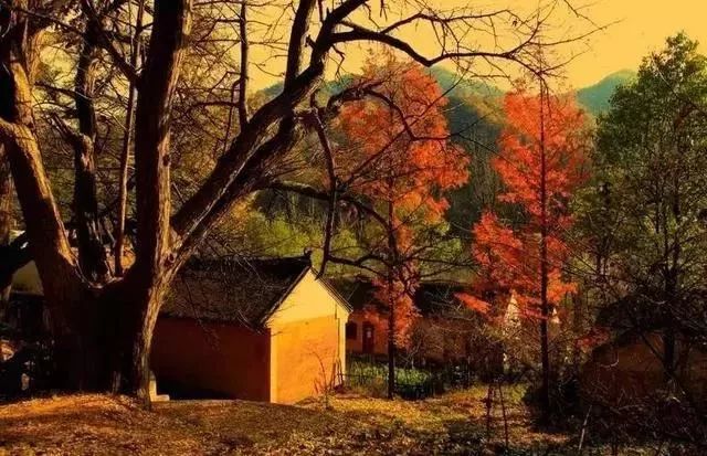 河南看红叶最好的地方,河南红叶最佳观赏时间表