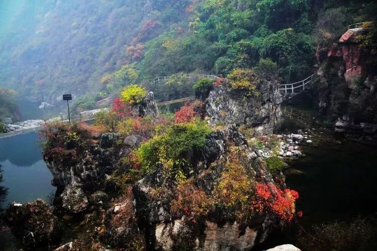 河南看红叶最好的地方,河南红叶最佳观赏时间表
