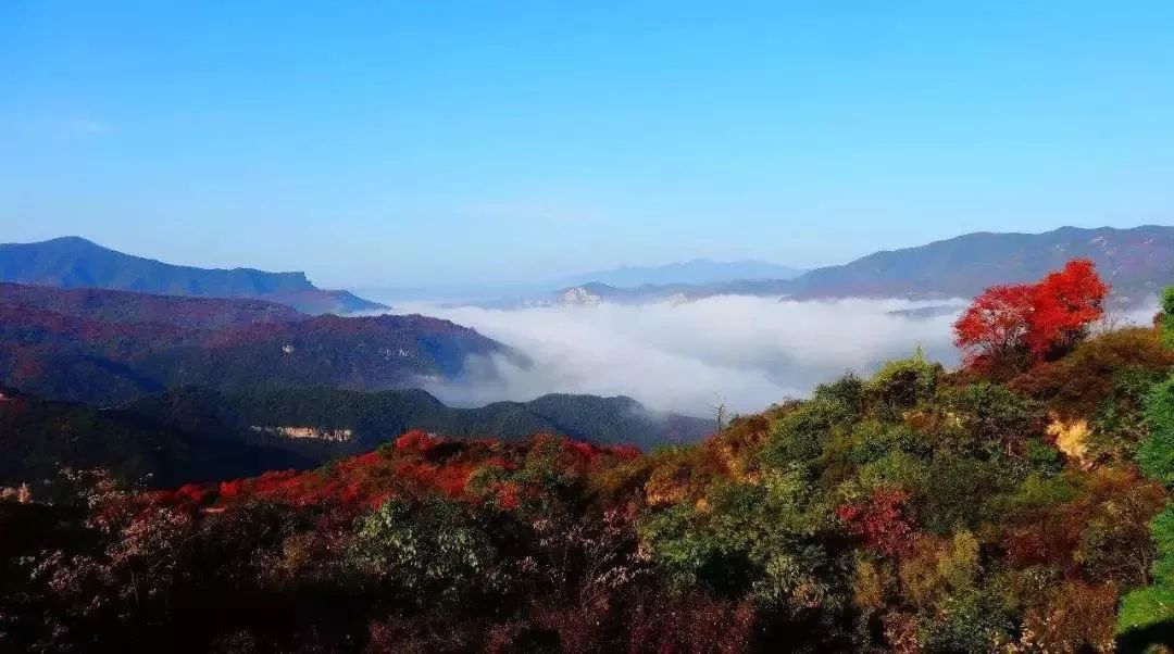 河南看红叶最好的地方,河南红叶最佳观赏时间表