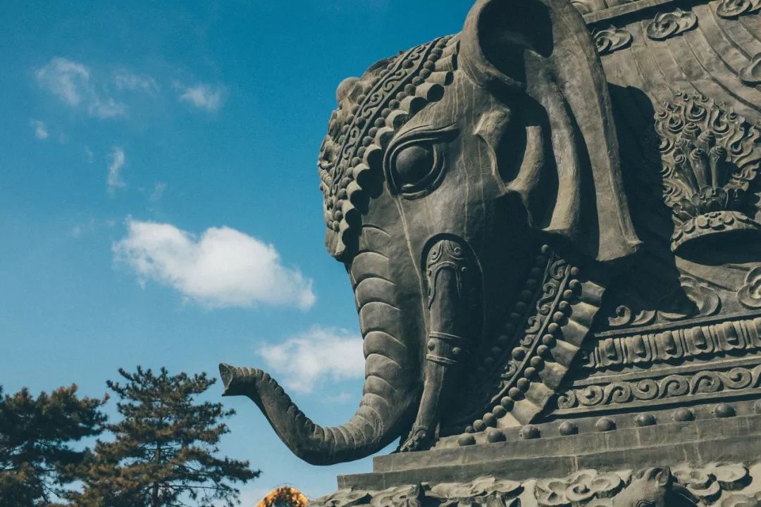 1折起售6月特价机票,低价机票预订大连