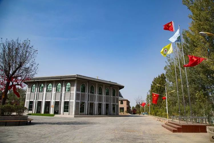 黄梨花儿开，大美馆陶等您来！