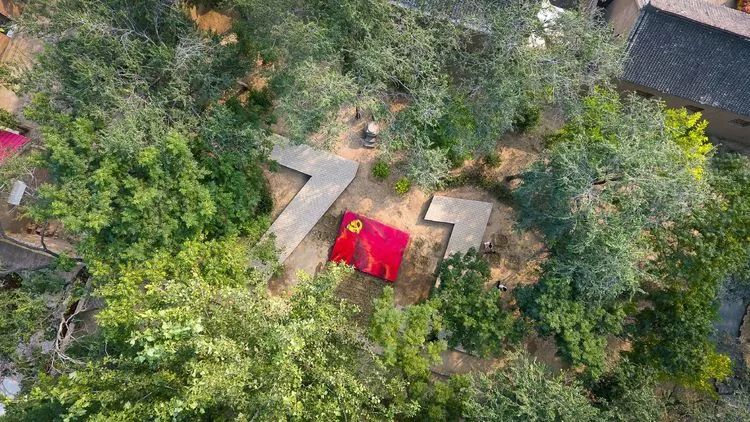 黄梨花儿开，大美馆陶等您来！