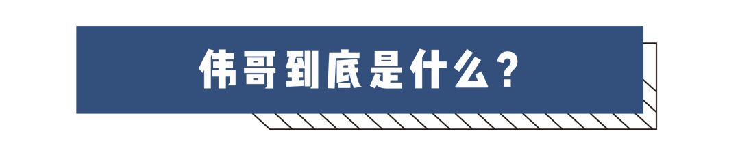 伟哥任何人都能吃吗,伟哥是用来干嘛的