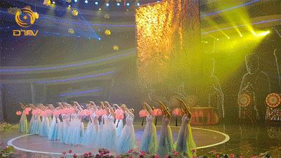 喜讯获奖创历史新高,喜讯获奖