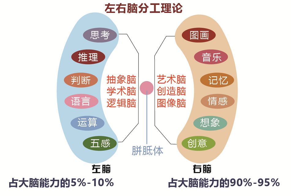 2-6岁儿童益智科普贴贴,贴贴纸3-6岁益智启蒙有甲醛么