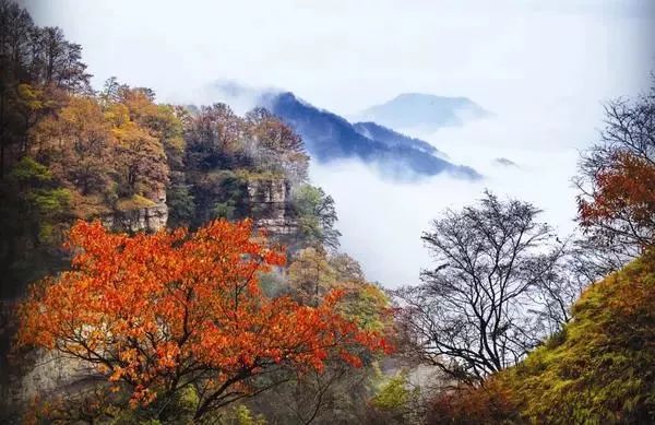 河南秋天最美红叶景区,太美了河南景观