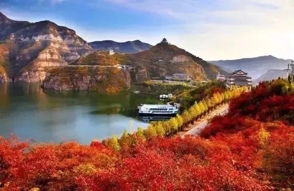 河南秋天最美红叶景区,太美了河南景观