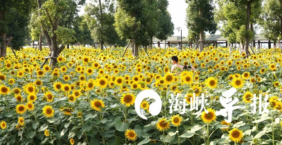 带你看美丽的厦门海边美景,厦门海洋最美丽的风景