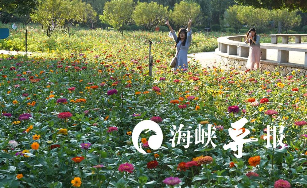 带你看美丽的厦门海边美景,厦门海洋最美丽的风景