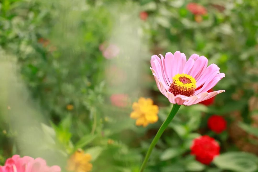 带你看美丽的厦门海边美景,厦门海洋最美丽的风景
