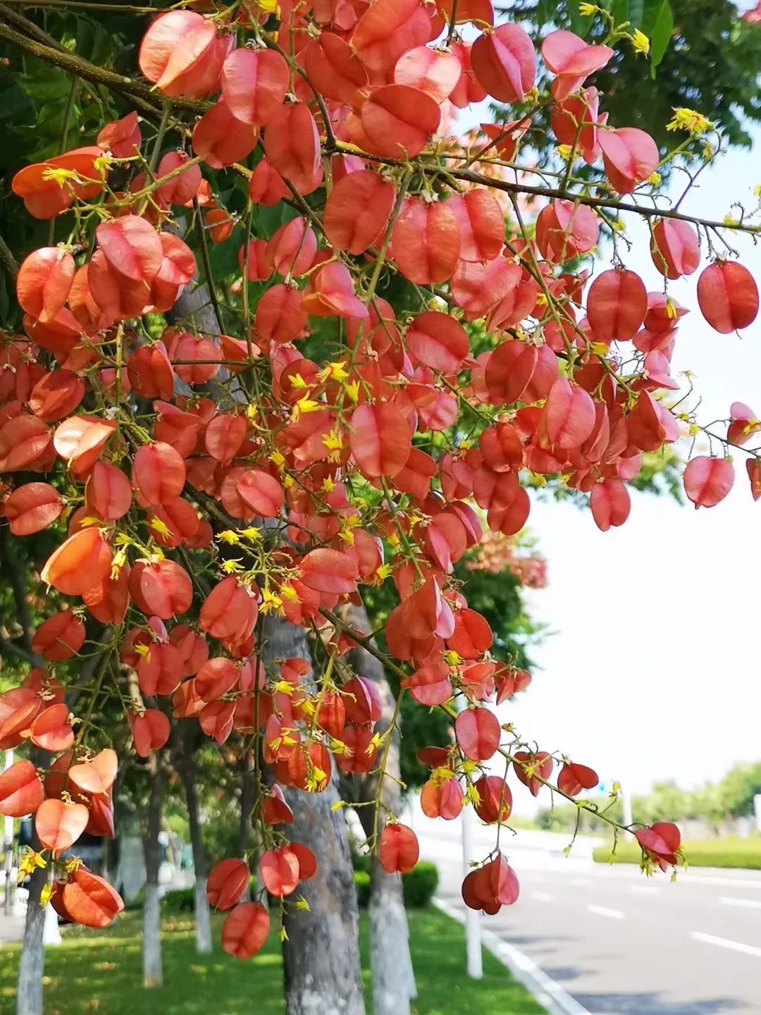 带你看美丽的厦门海边美景,厦门海洋最美丽的风景