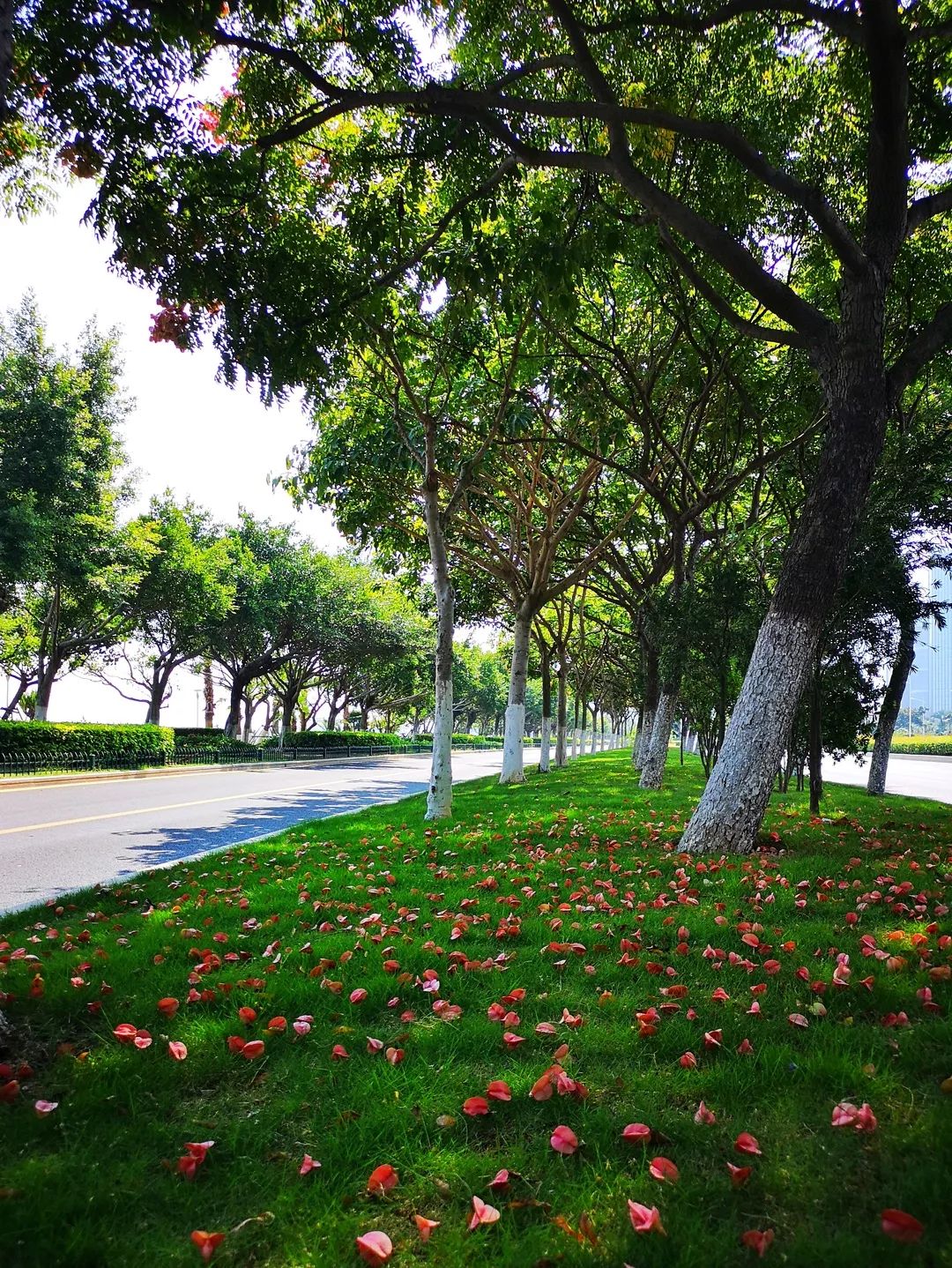 带你看美丽的厦门海边美景,厦门海洋最美丽的风景