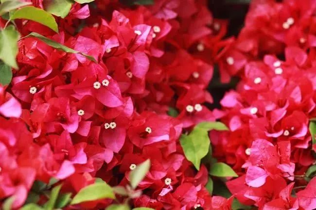 带你看美丽的厦门海边美景,厦门海洋最美丽的风景