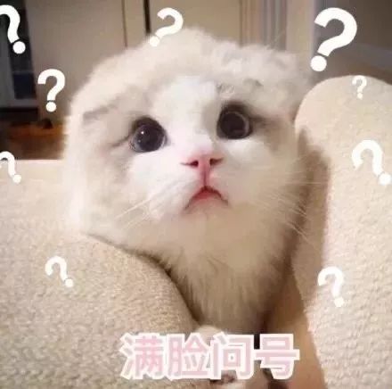 信小呆成为中国锦鲤后的这些年,信小呆目前在做什么