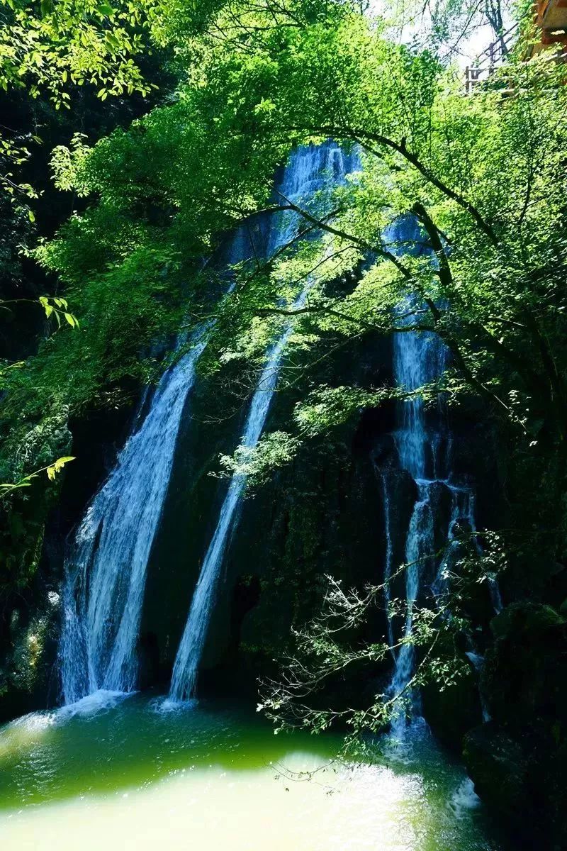 扩散宜昌多条公交线路调整,扩散提醒