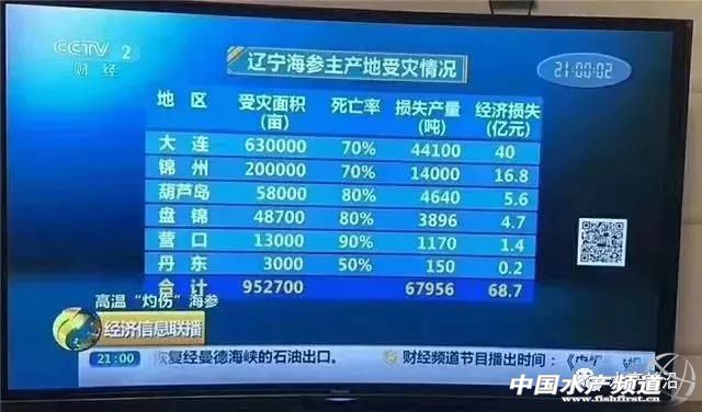 海参最低多少钱一斤,120斤野生海参价格