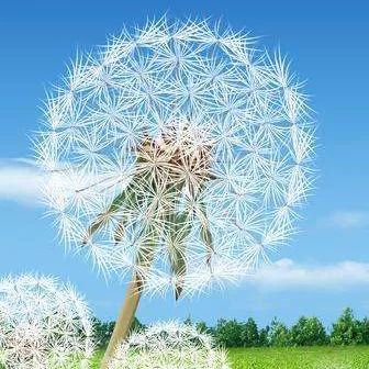 孙全军长庆油田,孙全军访谈完整视频