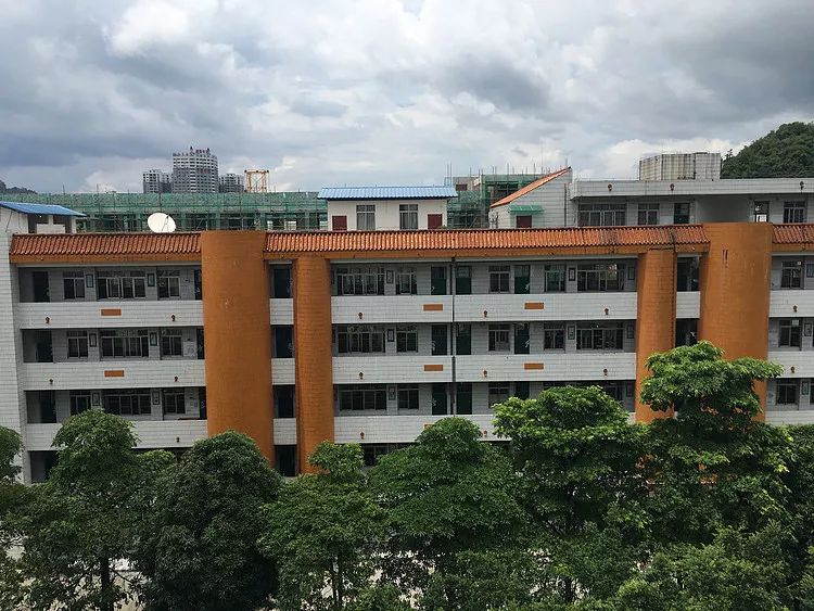 刷手机的屏幕,手机刷了屏幕