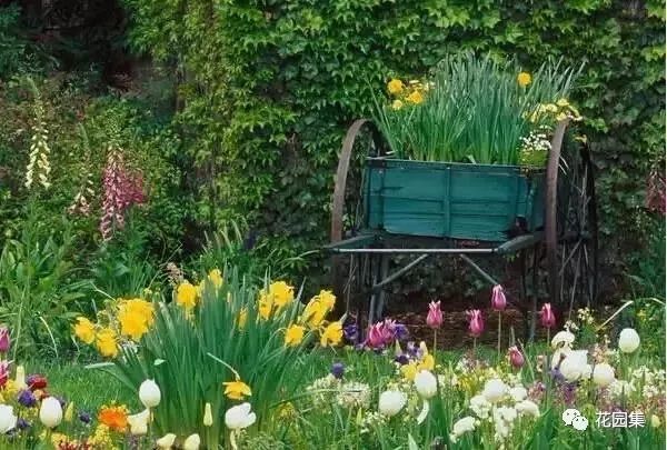 庭院花园的实用技巧,庭院花园最佳布局