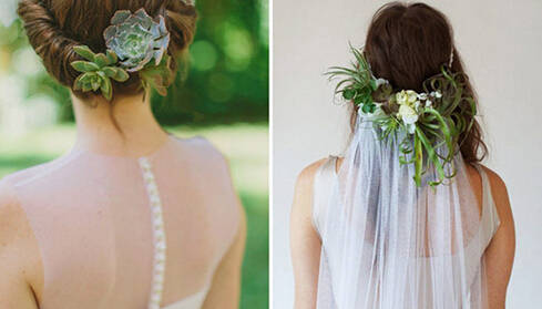 鍞湁鑲夎倝瀵规垜涓嶇涓嶅純,鍙湁鑲夎倝瀵规垜涓嶇涓嶅純