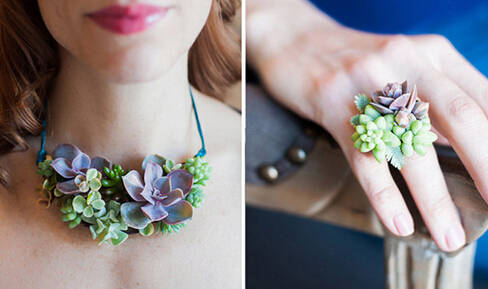 鍞湁鑲夎倝瀵规垜涓嶇涓嶅純,鍙湁鑲夎倝瀵规垜涓嶇涓嶅純