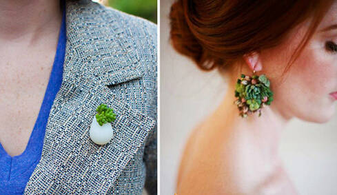 鍞湁鑲夎倝瀵规垜涓嶇涓嶅純,鍙湁鑲夎倝瀵规垜涓嶇涓嶅純