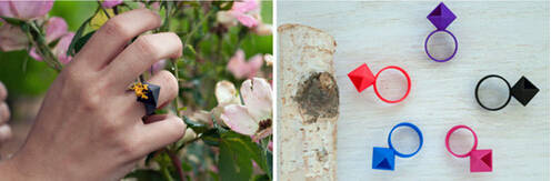 鍞湁鑲夎倝瀵规垜涓嶇涓嶅純,鍙湁鑲夎倝瀵规垜涓嶇涓嶅純