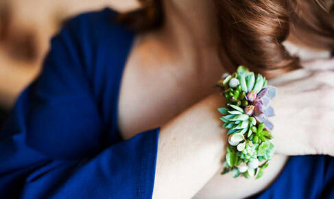 鍞湁鑲夎倝瀵规垜涓嶇涓嶅純,鍙湁鑲夎倝瀵规垜涓嶇涓嶅純