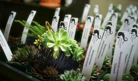 鍞湁鑲夎倝瀵规垜涓嶇涓嶅純,鍙湁鑲夎倝瀵规垜涓嶇涓嶅純