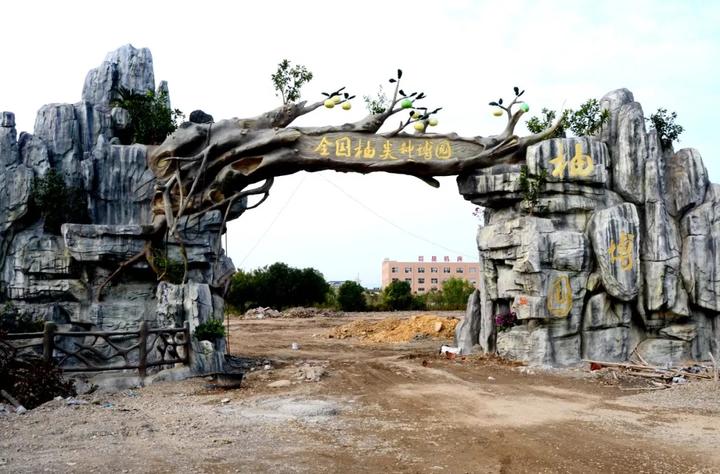 中华第一名柚,柚子中华第一柚