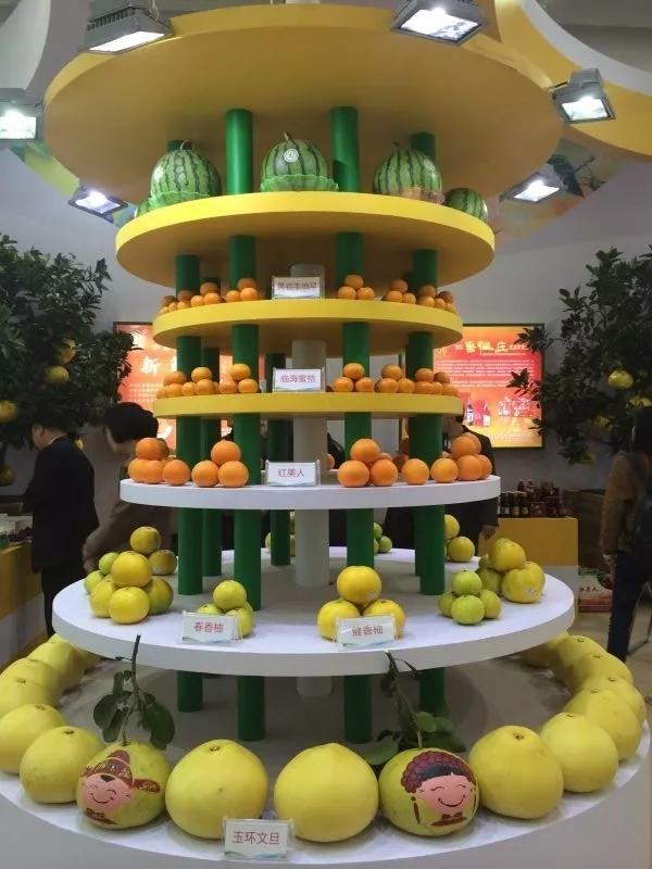 中华第一名柚,柚子中华第一柚