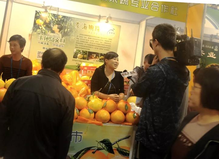 中华第一名柚,柚子中华第一柚