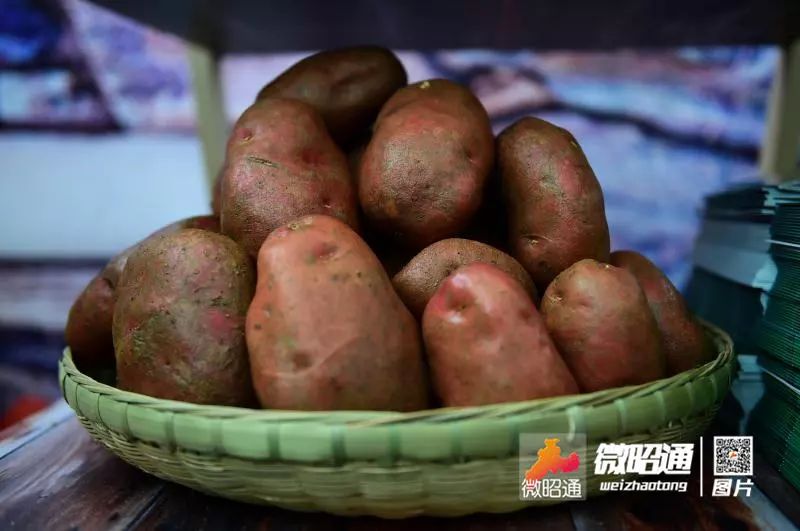 云南彝良苗族相亲,云南昭通彝良00后女孩相亲