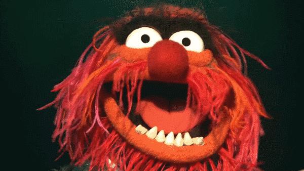 「不慌」就是……看完默默点了收藏和分享……