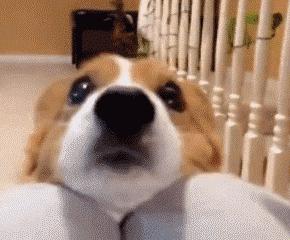 2019最全长沙通讯录！人手一份，一定用得上！赶紧收藏！