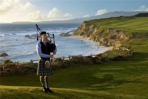 全球最有意思的11个酒店职位:松露猎手、日落风笛手、美人鱼指导员……你知道多少?