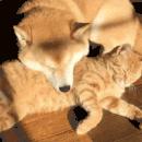 再上2天班,常州人集体放假!但这8个坏消息保证虐哭你……