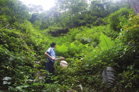 「我与改革开放的故事」之十二：从“鸣锣传信”到“即时通讯”