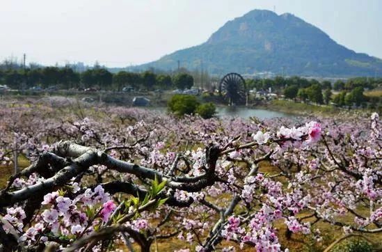 冲刺四季度奋力实现四个确保,冲刺四季度经济工作