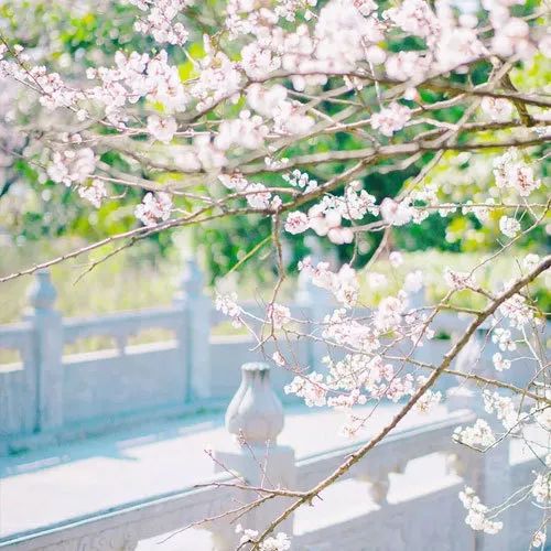 书讯最新消息,书讯大全免费阅读