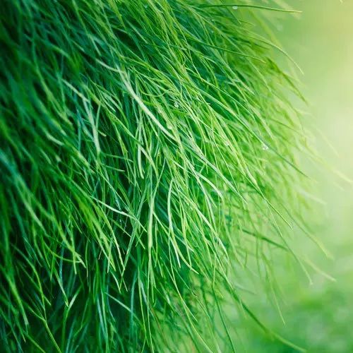 书讯最新消息,书讯大全免费阅读