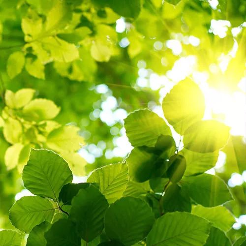 书讯最新消息,书讯大全免费阅读