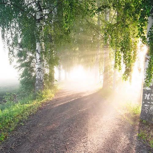 书讯最新消息,书讯大全免费阅读