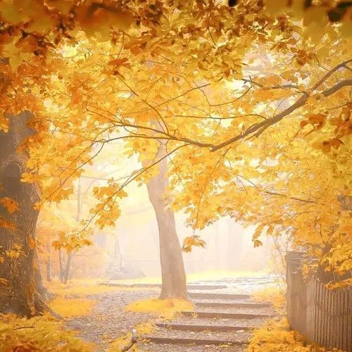 书讯最新消息,书讯大全免费阅读